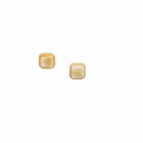Gem Stud Earrings