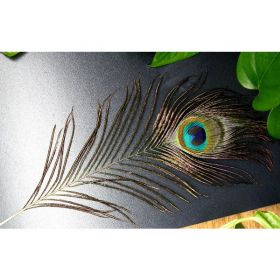 Natural Peacock Feather